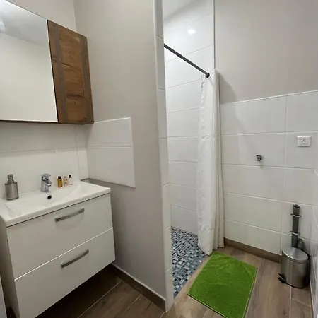 Renove A 15 Min De Lyon 公寓 Saint-Fons